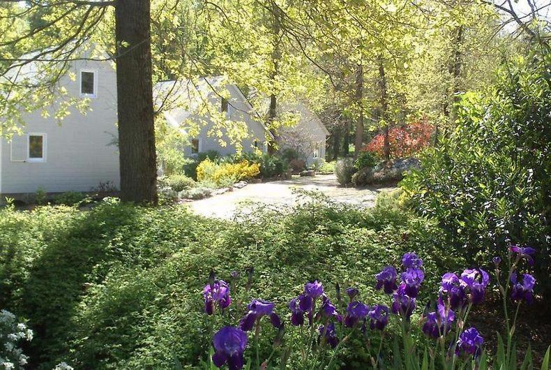 Les Chalets De Saumur, Piscine & Parc Boise, 100M Du Cadrenoir ภายนอก รูปภาพ