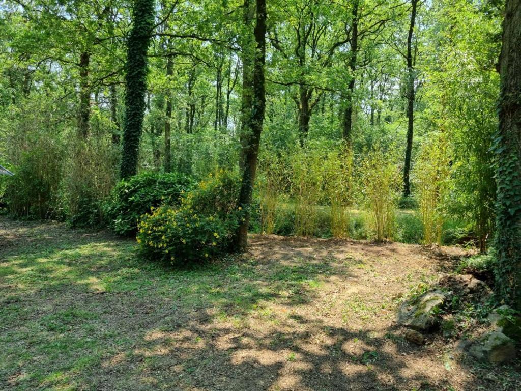 Les Chalets De Saumur, Piscine & Parc Boise, 100M Du Cadrenoir ภายนอก รูปภาพ