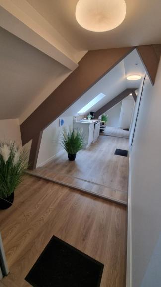 Les Chalets De Saumur, Piscine & Parc Boise, 100M Du Cadrenoir ห้อง รูปภาพ