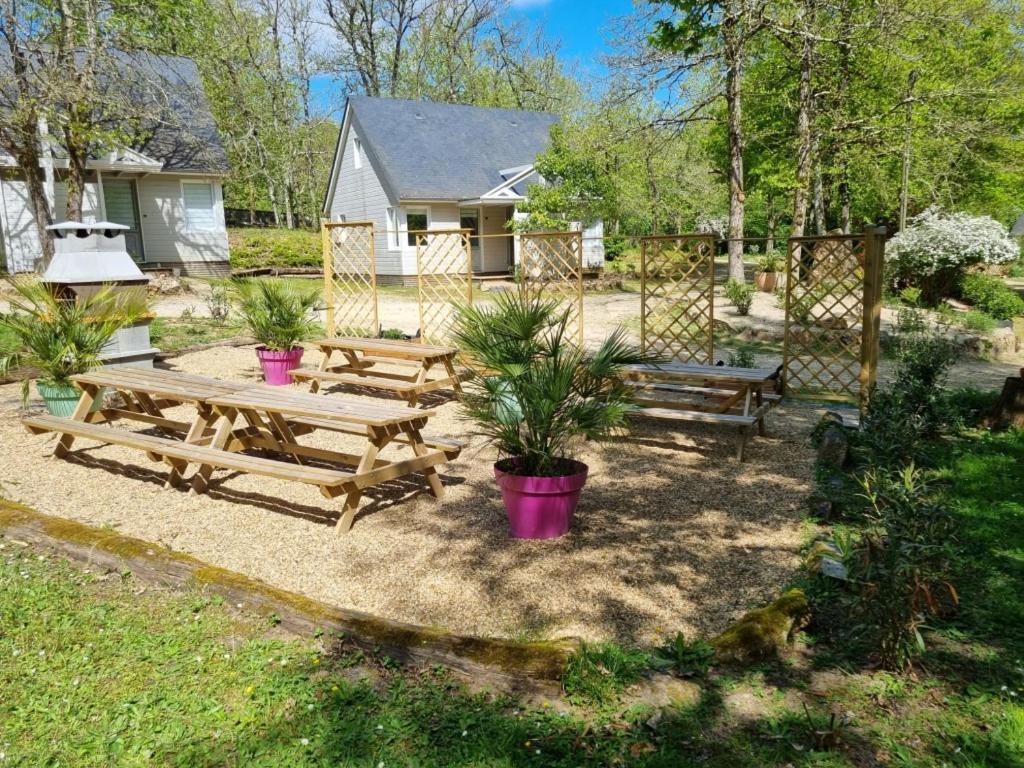 Les Chalets De Saumur, Piscine & Parc Boise, 100M Du Cadrenoir ภายนอก รูปภาพ